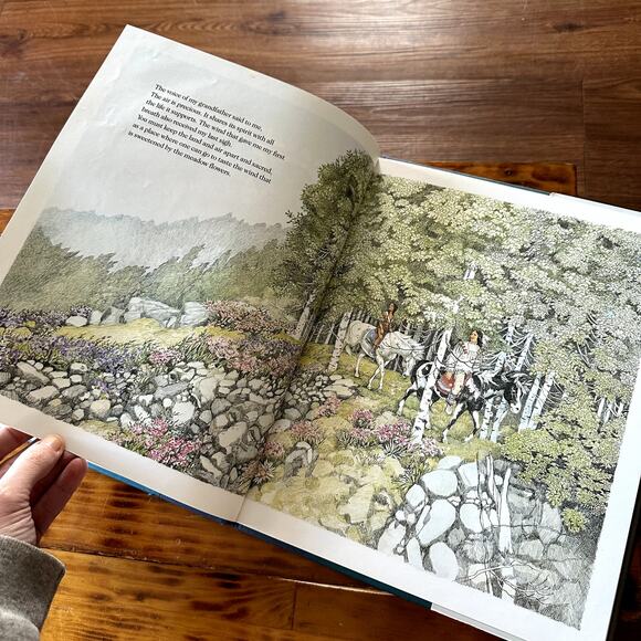 Vintage 1991 Brother Eagle, Sister Sky A Message From Chief Seattle Book - Picture 8 of 10